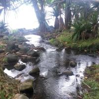 Paysage magnifique de l'anse des cascades