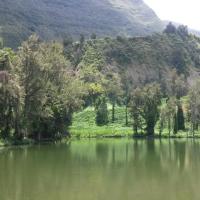 mare à poule d'eau à Salazie