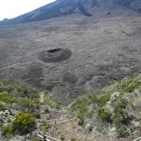 Formica léo et Piton de la Lournaise